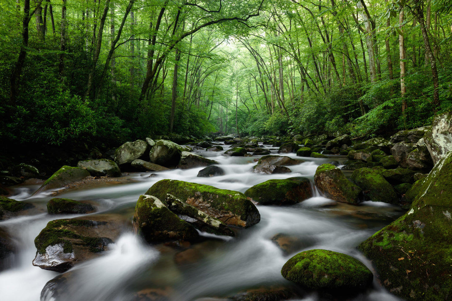 Southeastern USA Landscapes