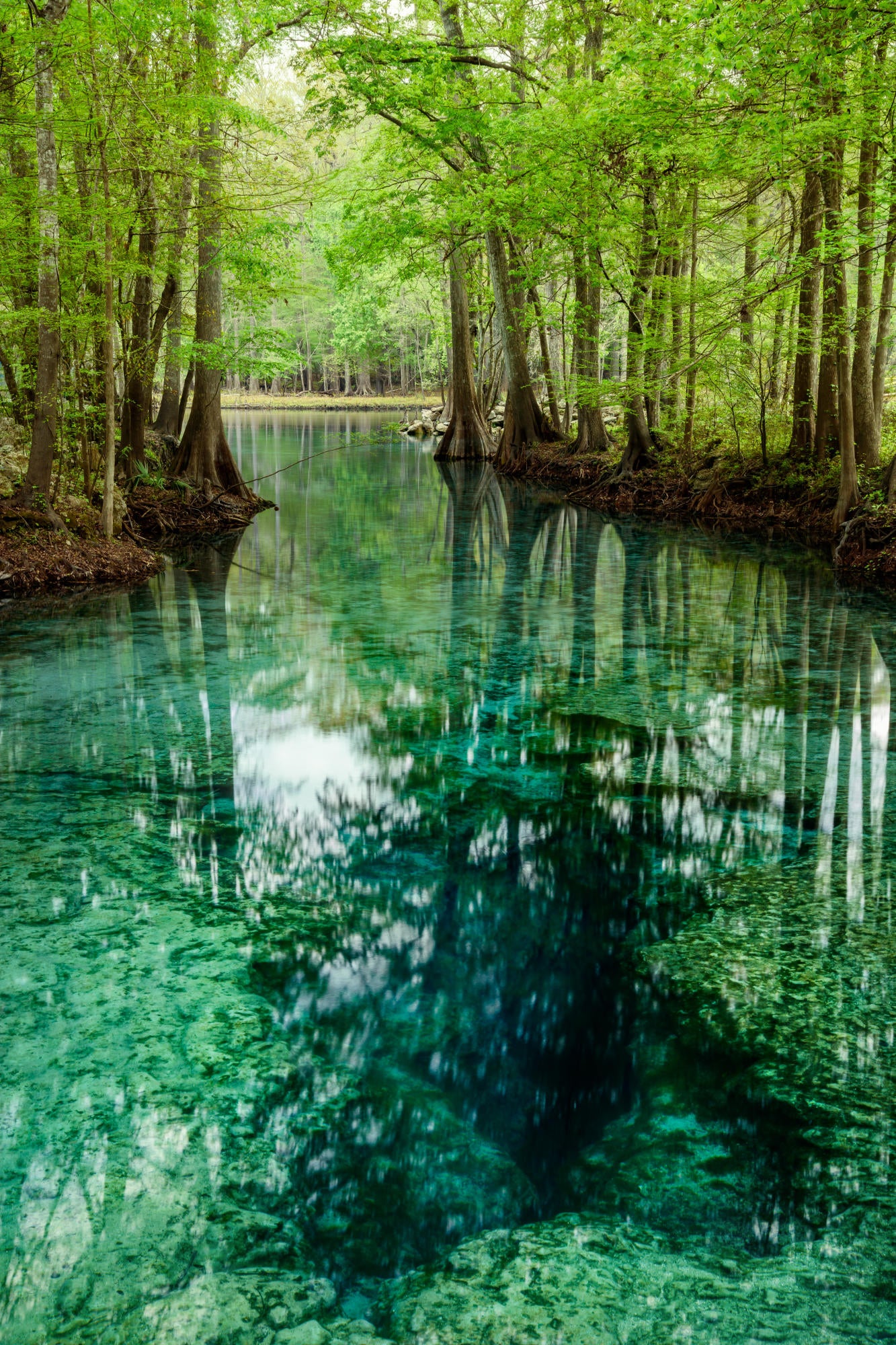 Little Devil Spring