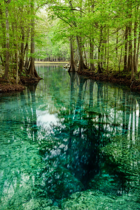 Little Devil Spring