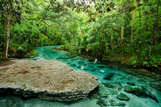 Rock Springs Run