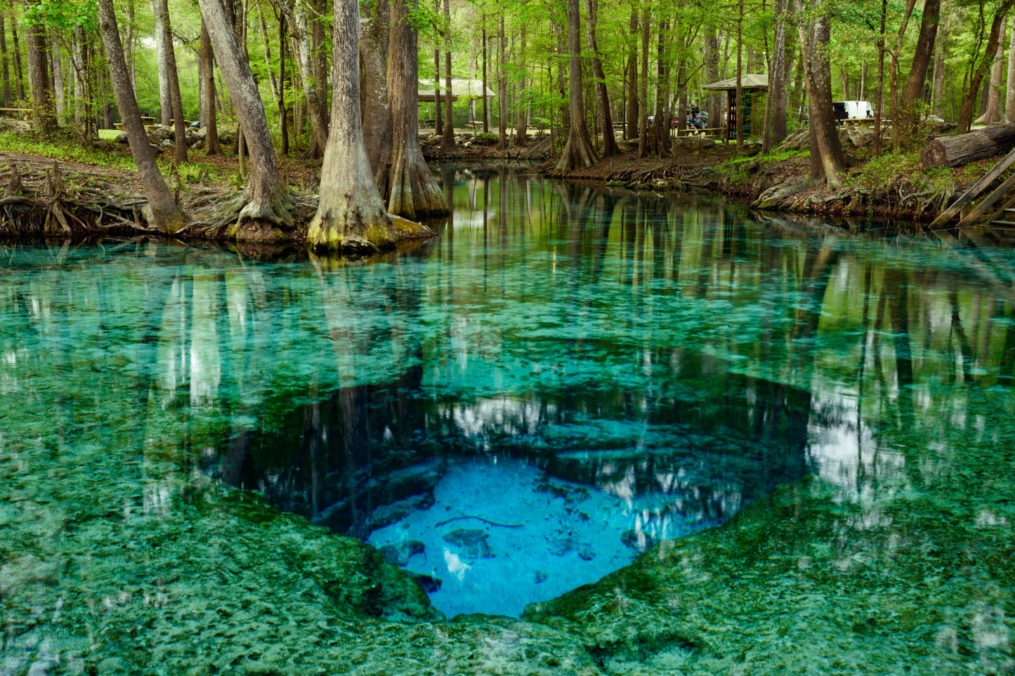 Devil's Eye Spring