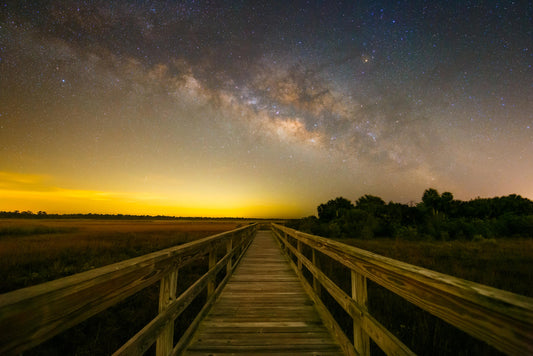 Okaloacoochee Slough Milky Way