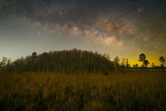 Milky Way over a Cypress Dome